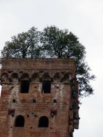 Lucca, Guigni Turm &ndash; &copy; Grit Wendelberger (Eberhardt TRAVEL)