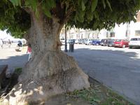Alghero &ndash; &copy; Sabine Letzybyll (Eberhardt TRAVEL)