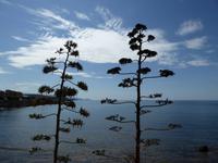 Alghero &ndash; &copy; Sabine Letzybyll (Eberhardt TRAVEL)
