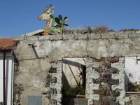 Tinnura &ndash; &copy; Sabine Letzybyll (Eberhardt TRAVEL)