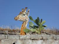 Tinnura &ndash; &copy; Sabine Letzybyll (Eberhardt TRAVEL)