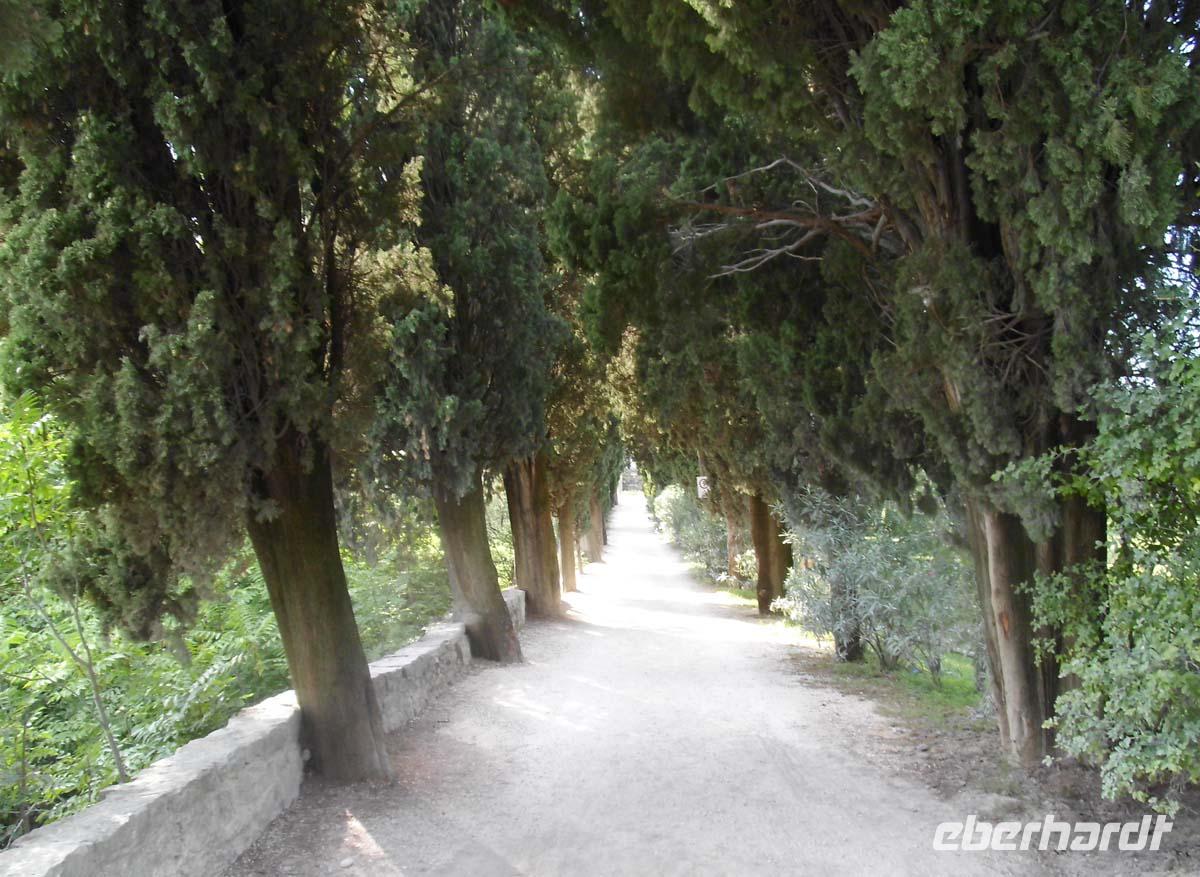 Zypressenalle Punta San Vigilio &ndash; &copy; Peter Rudolph (Eberhardt TRAVEL)