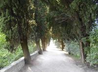 Zypressenalle Punta San Vigilio &ndash; &copy; Peter Rudolph (Eberhardt TRAVEL)