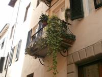 Lucca &ndash; &copy; Ingrid Langer (Eberhardt TRAVEL)