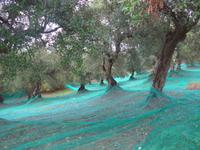 Italien, Cilento &ndash; &copy; Ria Heilmann (Eberhardt TRAVEL)