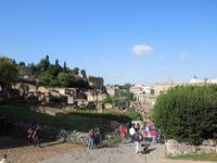 028 Forum Romanum &ndash; &copy; Stefanie Schneider (Eberhardt TRAVEL)