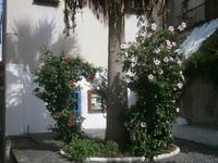 Innenhof auf Lipari &ndash; &copy; Gabriele Schwarze (Eberhardt TRAVEL)