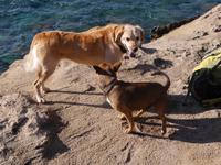 Capo Testa  &ndash; &copy; Betina Marinow (Eberhardt TRAVEL)