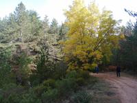 Monte Limbara &ndash; &copy; Betina Marinow (Eberhardt TRAVEL)