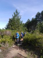 Monte Limbara &ndash; &copy; Betina Marinow (Eberhardt TRAVEL)