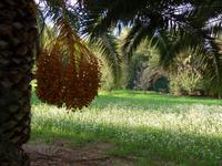 Sizilien, Agrigent &ndash; &copy; Ria Heilmann (Eberhardt TRAVEL)