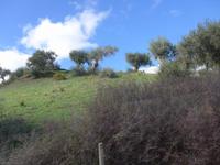 Sizilien, Madonie-Gebirge &ndash; &copy; Ria Heilmann (Eberhardt TRAVEL)