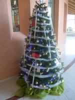 Weihnachstbaum 