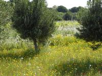Sizilien &ndash; &copy; Sabine Letzybyll (Eberhardt TRAVEL)