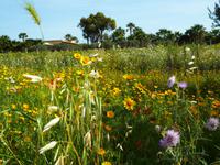 Sizilien &ndash; &copy; Sabine Letzybyll (Eberhardt TRAVEL)