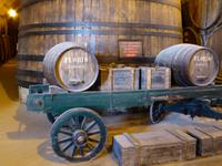 Marsala, Weingut &ndash; &copy; Sabine Letzybyll (Eberhardt TRAVEL)
