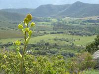 Korsika &ndash; &copy; Sabine Letzybyll (Eberhardt TRAVEL)
