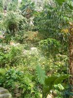 Giardini La Mortella &ndash; &copy; Bianka Kirsche (Eberhardt TRAVEL)