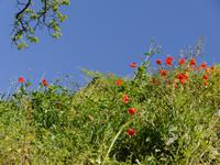 Wanderung ab Buonopane &ndash; &copy; Betina Marinow (Eberhardt TRAVEL)