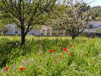 Wanderung ab Buonopane &ndash; &copy; Betina Marinow (Eberhardt TRAVEL)