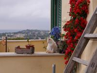 Procida &ndash; &copy; Betina Marinow (Eberhardt TRAVEL)