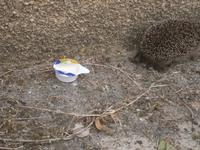 ihm schmeckts nicht &ndash; &copy; Gabriele Schwarze (Eberhardt TRAVEL)