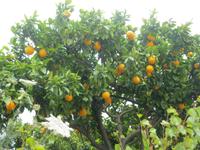 IMG_5722 &ndash; &copy; Kerstin Veit (Eberhardt TRAVEL)