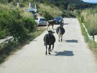 IMG_5877 &ndash; &copy; Kerstin Veit (Eberhardt TRAVEL)