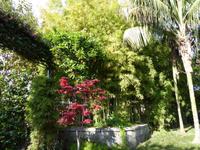 07.05.2016 Sorrent &ndash; &copy; Jutta Petzold-Herrmann (Eberhardt TRAVEL)