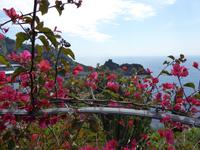 08.05.2016 Amalfiküste &ndash; &copy; Jutta Petzold-Herrmann (Eberhardt TRAVEL)