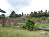 19.05.2016 Rom Forum Romanum &ndash; &copy; Jutta Petzold-Herrmann (Eberhardt TRAVEL)