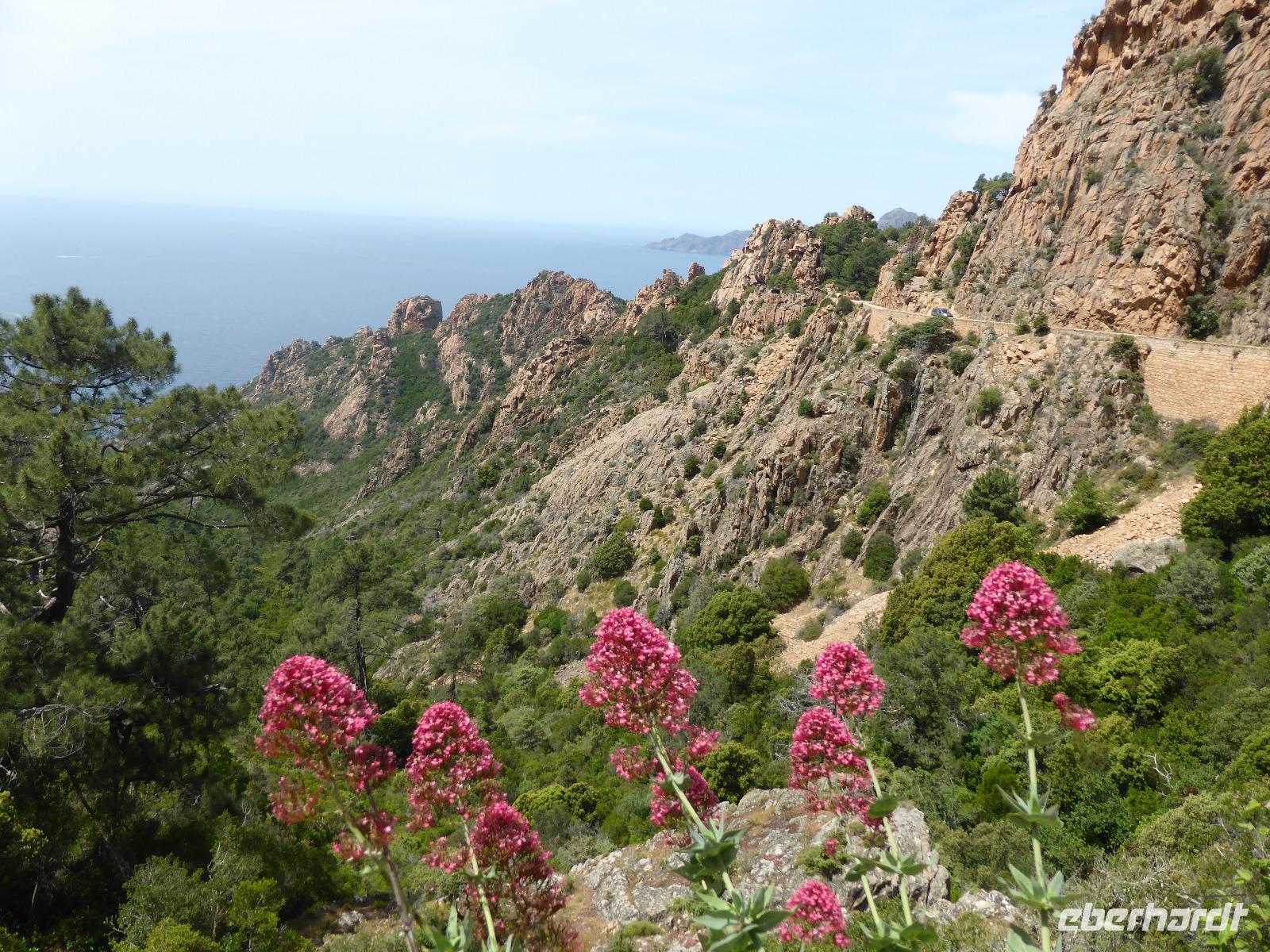 Calanche &ndash; &copy; Claudia Bernhardt (Eberhardt TRAVEL)