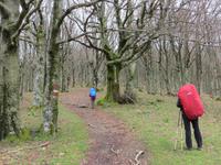 006 Franziskusweg bei Camaldoli &ndash; &copy; Jürgen Schmeißer (Eberhardt TRAVEL)