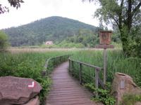 Montiggler See &ndash; &copy; Annett Haußig (Eberhardt TRAVEL)