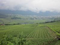 Talblick &ndash; &copy; Annett Haußig (Eberhardt TRAVEL)