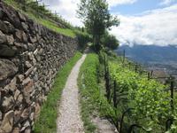 nach Dorf Tirol &ndash; &copy; Annett Haußig (Eberhardt TRAVEL)