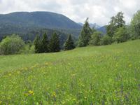 Weg nach St. Felix &ndash; &copy; Annett Haußig (Eberhardt TRAVEL)