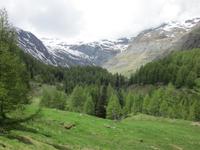 Weg zur Lazinser Alm &ndash; &copy; Annett Haußig (Eberhardt TRAVEL)