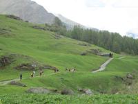 zurück nach Pfelders &ndash; &copy; Annett Haußig (Eberhardt TRAVEL)