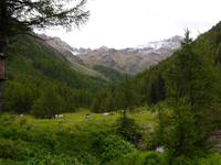 Am Passo Tonale &ndash; &copy; Betina Marinow (Eberhardt TRAVEL)