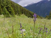 Impressionen &ndash; &copy; Betina Marinow (Eberhardt TRAVEL)