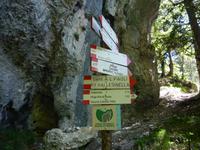 immer auf dem richtigen Weg...... &ndash; &copy; Betina Marinow (Eberhardt TRAVEL)