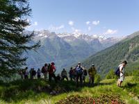 Pejo Tal &ndash; &copy; Betina Marinow (Eberhardt TRAVEL)