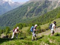 Pejo Tal &ndash; &copy; Betina Marinow (Eberhardt TRAVEL)