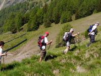 Pejo Tal &ndash; &copy; Betina Marinow (Eberhardt TRAVEL)