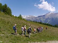 Pejo Tal &ndash; &copy; Betina Marinow (Eberhardt TRAVEL)