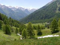 Pejo Tal &ndash; &copy; Betina Marinow (Eberhardt TRAVEL)
