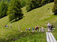 Pejo Tal &ndash; &copy; Betina Marinow (Eberhardt TRAVEL)