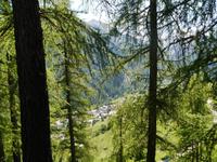 Pejo Paese &ndash; &copy; Betina Marinow (Eberhardt TRAVEL)