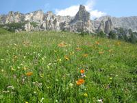 IMG_6293 &ndash; &copy; Kerstin Veit (Eberhardt TRAVEL)
